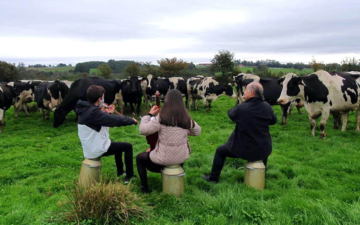 ¡Nuestras vacas disfrutan de un concierto privado!